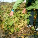 밀양슈퍼 이미지