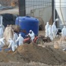 제동농장 이미지