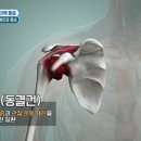 [의학, 여름철 눈 건강] 2050년, 전 세계 인구 절반이 근시가 된다?! 이미지