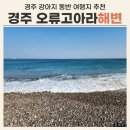 백사장해변 | 경주 오류고아라해변 애견 동반 여행 후기 / 숨통이 탁 트이는 아름다운 바다