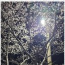 천마아이태권도장 이미지