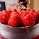 투썸플레이스목포 - 목포시 원산중앙로 7 | 투썸플레이스목포