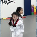 고려태권도 네이버블로그