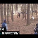 태종비디오