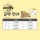 일산애견스쿨 이미지