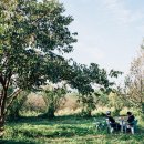 순례농장 이미지