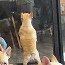 독크루북구점 이미지