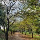 개미분식 이미지