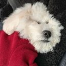 더온 피트니스 이미지