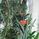 모아컴퓨터 이미지