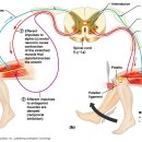 장효길한의원 이미지