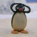 240912 보넥도 엠카 나이스가이 사녹 후기/홈리스 무박2일 또했단다