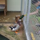 환호해맞이공원 이미지