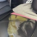 치료해 주오 이미지