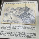 선경 양봉 이미지