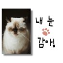 착한낙지홍도점