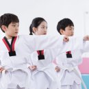 어울림 태권도 사관학교 네이버블로그