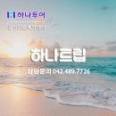 푸른하늘 여행사