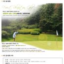 양지-8 Daum카페