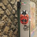 홍대걷고싶은거리 이미지