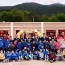 궁근정초 이미지