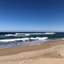 하조대민박 이미지