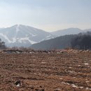 KTX우리부동산공인중개사사무소 네이버블로그
