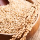 삼광목장 이미지