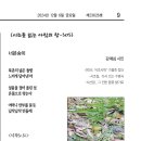 시조를 읽는 아침의 창 - 505＜너븐숭이/ 강애심＞ 이미지