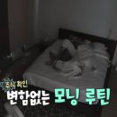 베이지 크라운