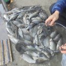 삼방낚시터 이미지