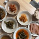 산모피아 | [REV]대전 산모피아 산후도우미 후기