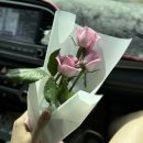 한정임농장 | 땀 뻘뻘 1박 2일 경주 관광지 코스 여행 (ft. 이제 생일을 곁들인)