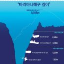 마리아나 해저 3700 미터 지점에서 촬영된 해파리 이미지