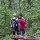 사근절길 이미지