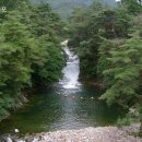 안성면105 이미지