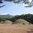 일심장례토탈 이미지