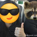 우경한의원 이미지