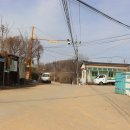 자장리 경로당 Daum카페