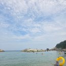 하조대해변 | 물개 2마리의 "양양 하조대 전망대, 광진해변" 당일치기로 갔다온 후기