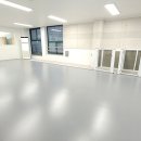 스테디독 이미지