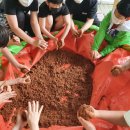 삼봉환경 이미지