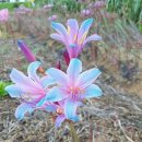 머리앤드 이미지