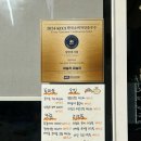 안암동물병원 | 안암 고대병원 근처 귀엽고 감성적인 양식 맛집 파슬리, 파슬리
