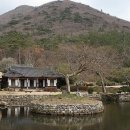 산수마루 | 진도 운림산방에서 만나는 남도 산수의 결과 예술적 사유가 흐르는 고요한 산책