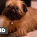 고집불통 이미지