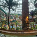 스플래시리조트 이미지