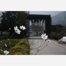 흑돼지&면가 이미지