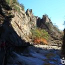 ㈜비볼코리아 이미지