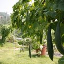 이강영당 이미지